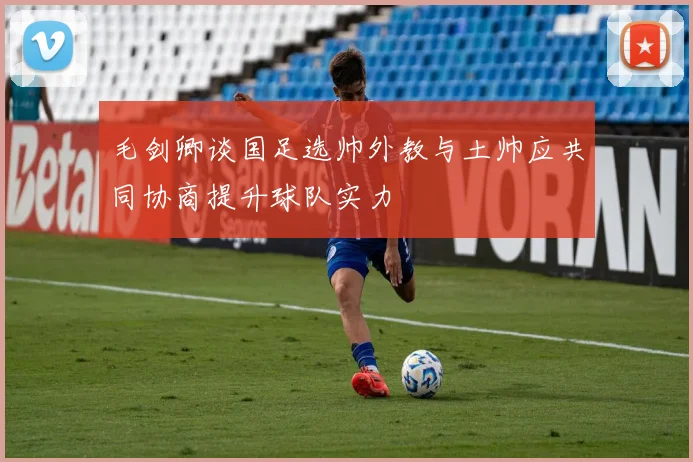 毛剑卿谈国足选帅外教与土帅应共同协商提升球队实力