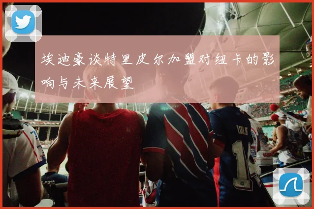 埃迪豪谈特里皮尔加盟对纽卡的影响与未来展望