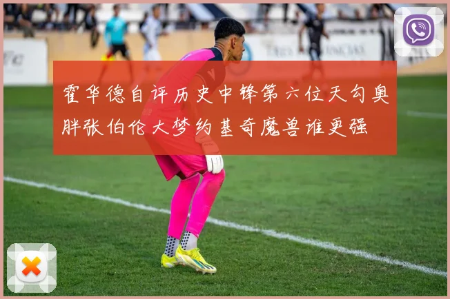 霍华德自评历史中锋第六位天勾奥胖张伯伦大梦约基奇魔兽谁更强