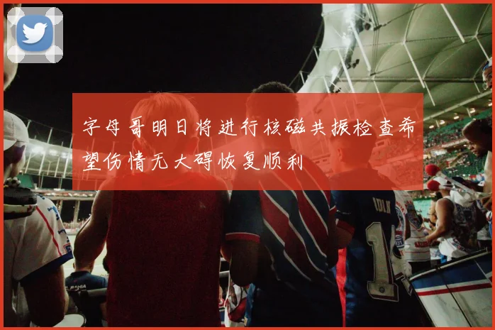 字母哥明日将进行核磁共振检查希望伤情无大碍恢复顺利